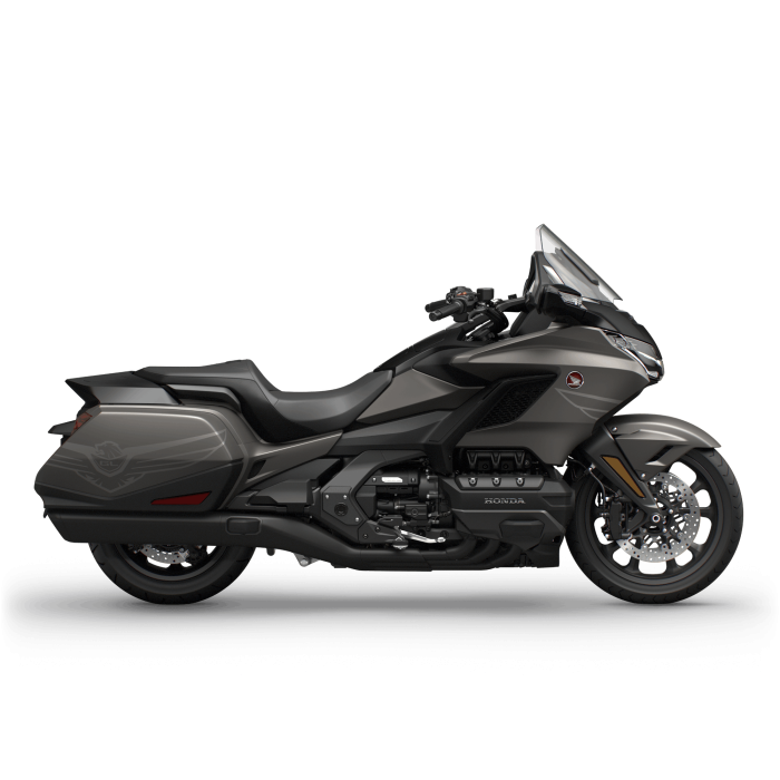 Gold Wing Bagger