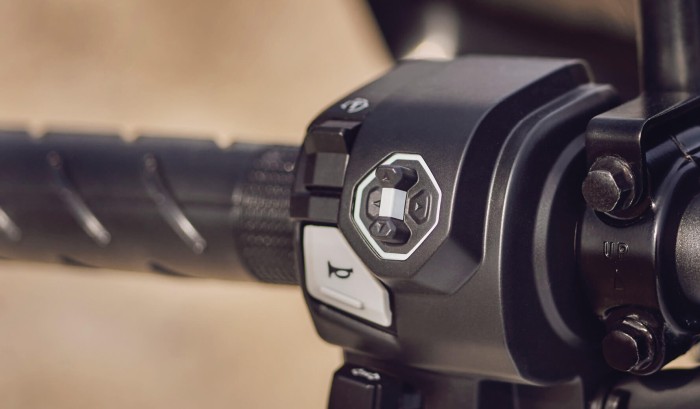 Multi-Function Switch