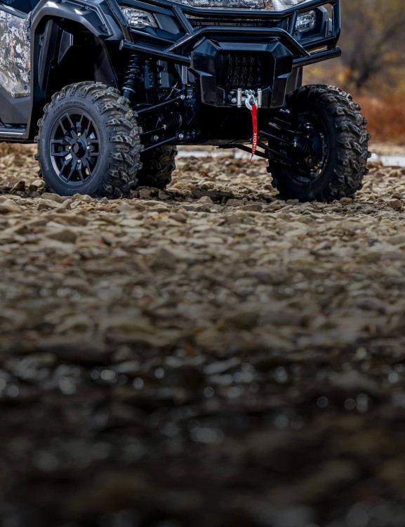 Forest Edition Features