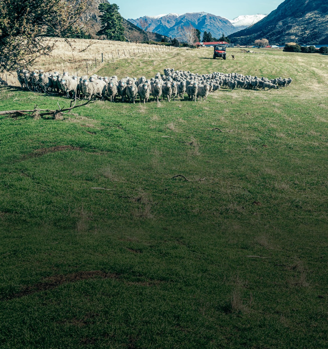 Your Honda Advantage on Farm Why_Honda_Mobile_1600_x_1700