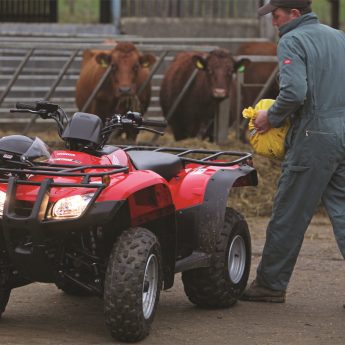 TRX250TM1 Image 1