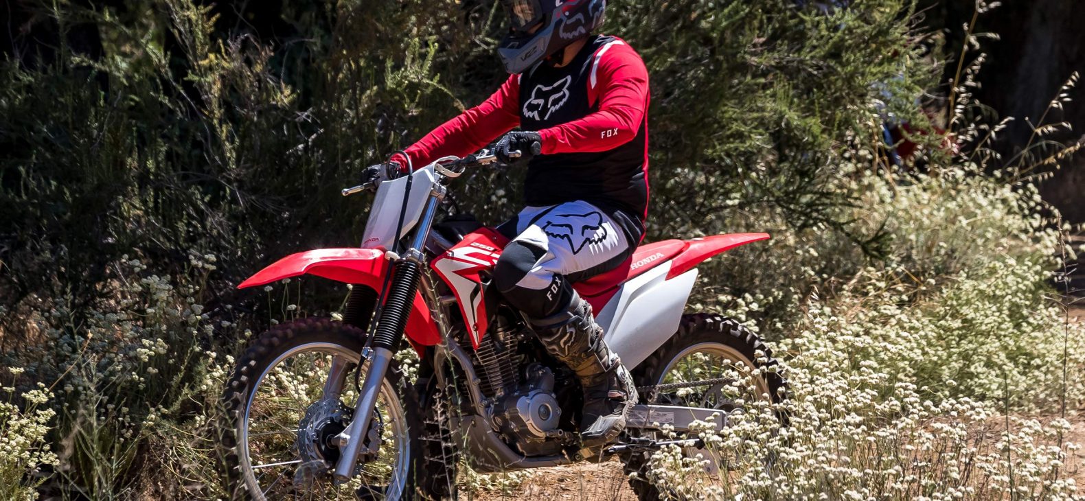 2022-crf250f-gallery-06-2400xauto Image