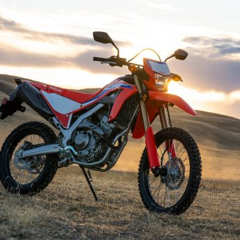 CRF300L Image 3