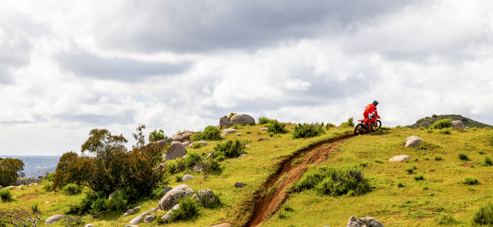 Trail, Enduro 2025 Image