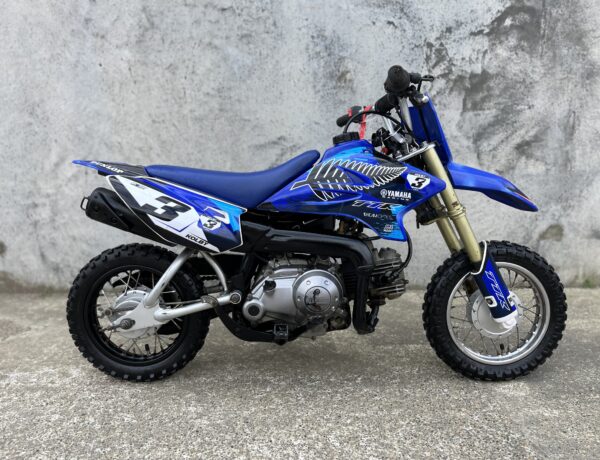 2008 YAMAHA TTR50 Image