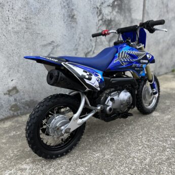 2008 YAMAHA TTR50 Image 4